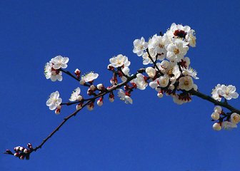 南歌子（书所见）