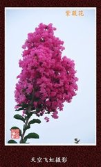忆秦娥（三之三）
