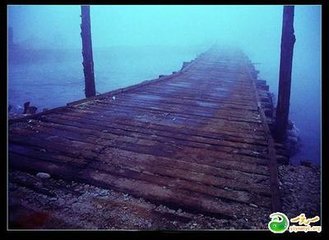 南歌子·菊润初经雨