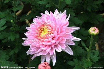 次韵姚宣孺见寄