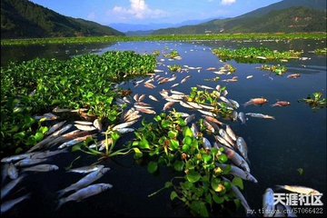 送陆务观