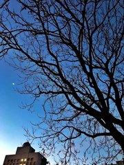 济川阻雪九月二十七日客况 其四