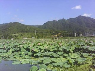 摊声浣溪沙