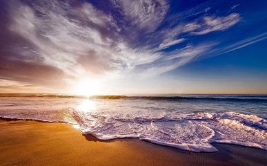 赋得海边树