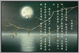 水调歌头·平生看明月