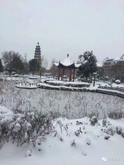 别友人（一作汝南逢董校书，又作别董校书）