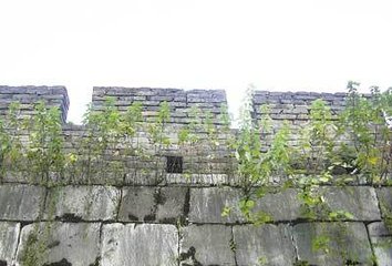 古风酬胡元之