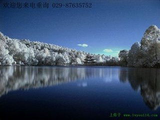 过大安军黑水阻涨憩崇道观以需涨落乃济