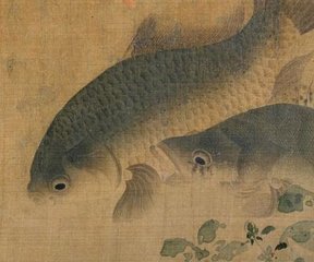 贵游