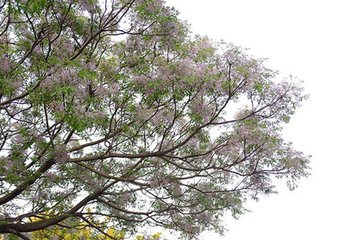 贺新郎·曾与瑶姬约
