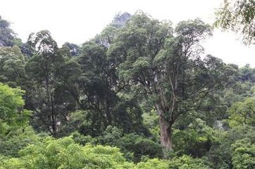 思归旧隐