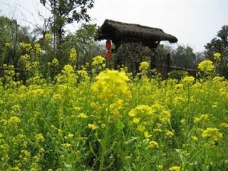 念奴娇 长干里