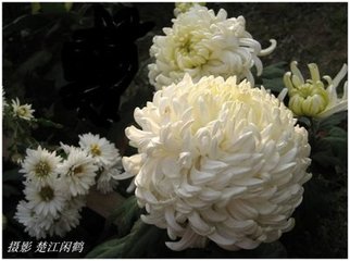 一丛花（次韵斯远）