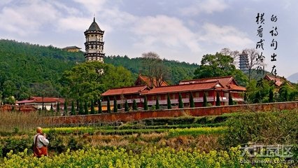 望西林寺