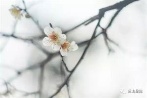 蝶恋花·楼倚云屏江泻镜