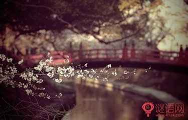 别范建康