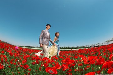 虞美人（同蔡宽夫置酒，王仲弓出歌人，声甚妙）
