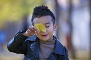 传示银杏兼简林谦之