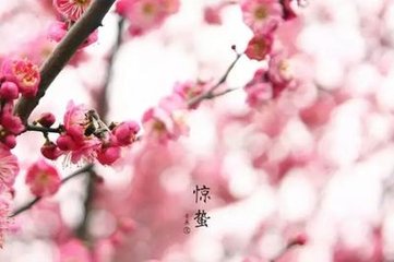 有怀十首