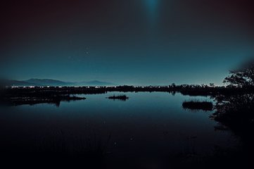 朝中措·雕车南陌碾香尘