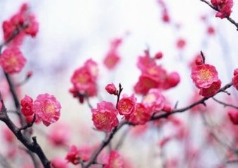 癸未元日过敬美小酌试笔