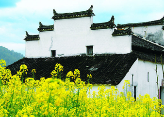 游郭希吕石洞二十咏·桂壑