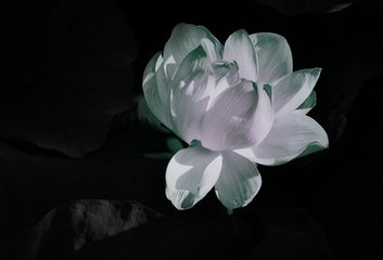 过大哥宅探得歌字韵