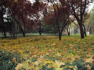 旅中杂兴五首