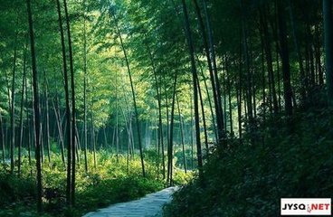 自宜兴过溧阳