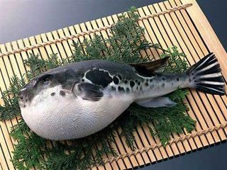 和安邑刘宰君见赠