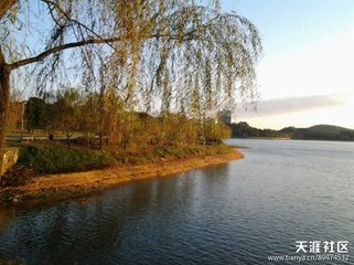 九日用靖节己酉岁韵