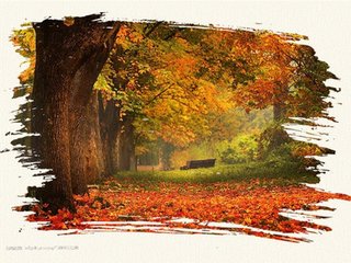 水龙吟·秋声