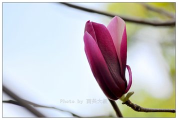 蝶恋花·帘深深香雾重