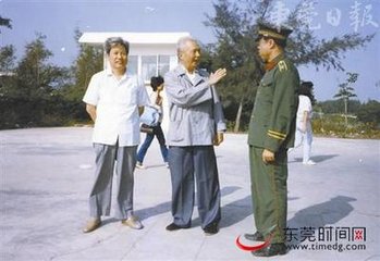 从叔母杨氏輓词