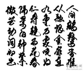 赠贺左丞萧舍人诗