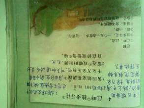 和安这喜雨