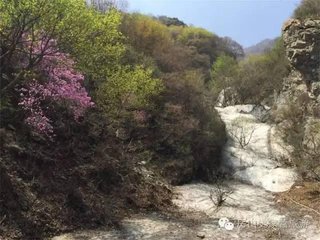 南风叹