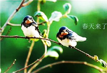 集贤殿春燕呈诸同舍