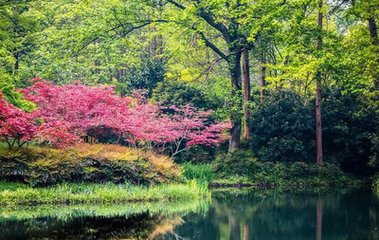 和南山弟虎图行