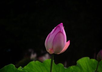 范参政自建康得资政宫祠六诗寄呈
