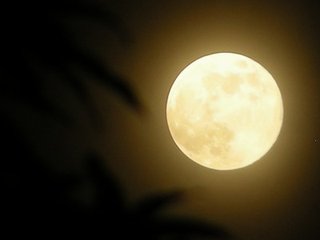 壬戌中秋沿檄行县与龚实之同宿于琴泉轩