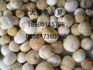 种药苗二首其二种决