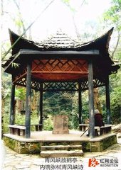 旧闻长沙城东梅坞甚盛近岁亦买园其间念欲一