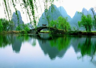 卜算子·絮尽柳成空