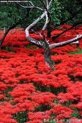 江行杂诗（二首）