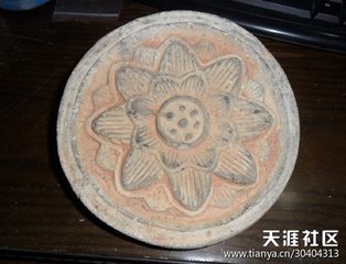 泉州紫极宫寿星殿古桧诸葛机宜同赋