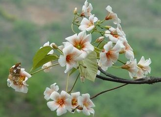 依韵答永叔洗儿歌