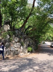 柳枝辞十二首