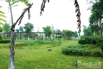 西江月（寿李知丞）