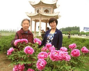 花村二首